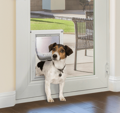 Doors With Pet Entrance - All American Window & Door