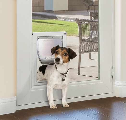 Dog door that shop only opens with collar